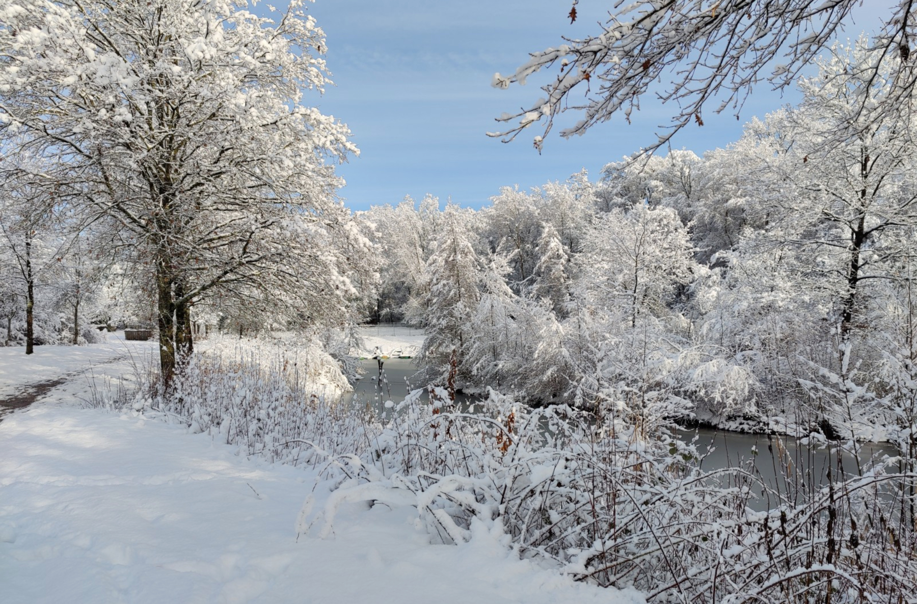 Hintergrundbild der Gemeinde Schutterwald