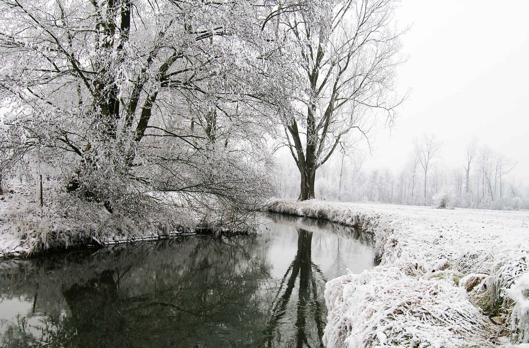 Wechselbild der Gemeinde