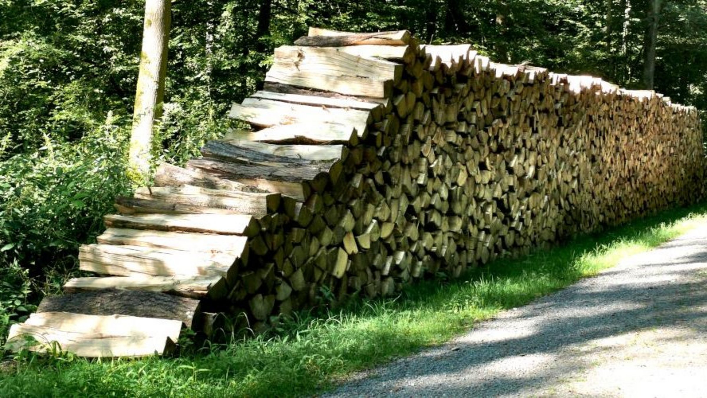 Bild von einem Brennholzstabel