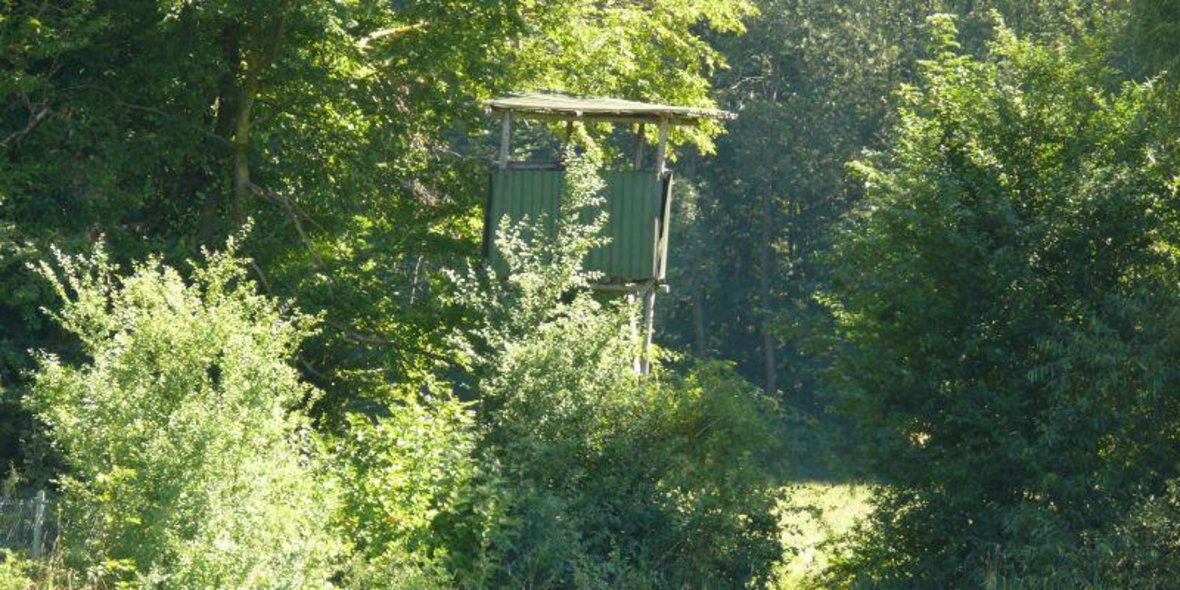 Bild vom Jägerstuhl