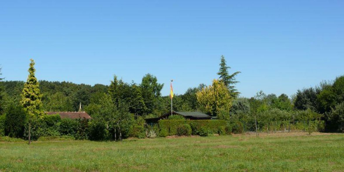 Bild einer Kleingartenanlage mit viel Bäumen