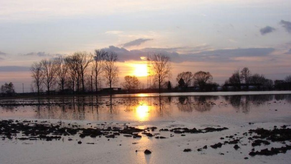 Gemarkungen der Stadt Kehl mit den Stadtteilen Marlen, Goldscheuer, Kittersburg und Hohnhurst, der Gemeinde Willstätt mit den Ortsteilen Eckartsweier und Hesselhurst, den Gemeinden Friesenheim, Hohberg, Meißenheim, Neuried und Schutterwald