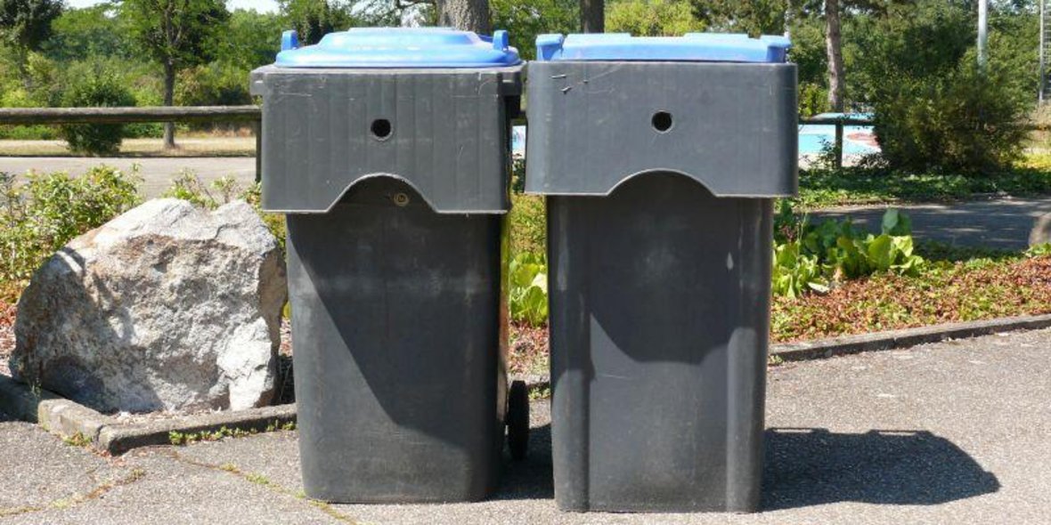 Bild von Zwei Mülltonnen